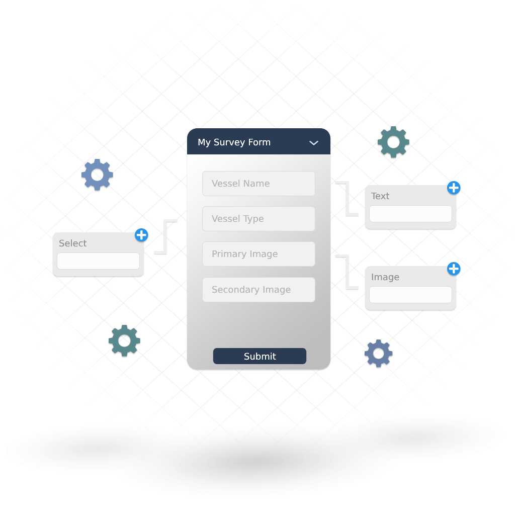 Survey customization interface